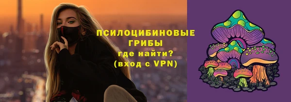 mdma Новозыбков