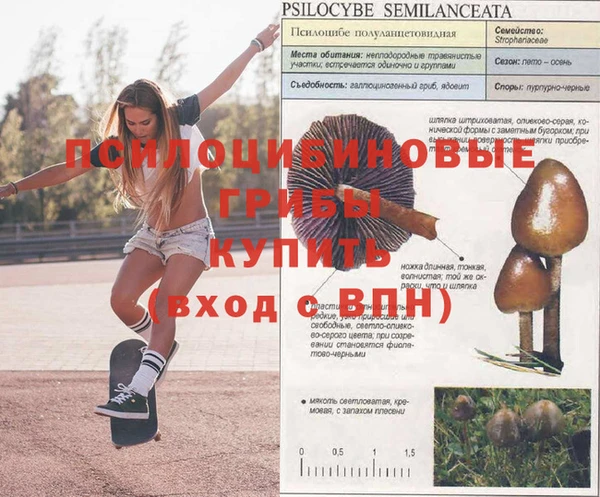 mdma Новозыбков