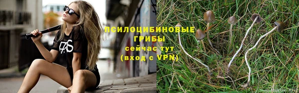 МДПВ Новокубанск