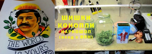 ГАЛЛЮЦИНОГЕННЫЕ ГРИБЫ Новодвинск
