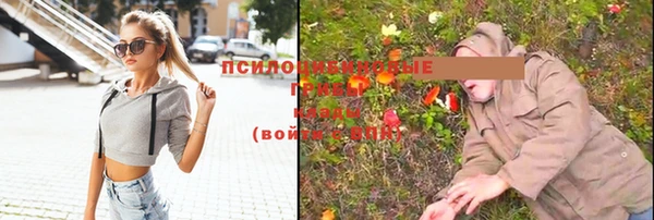 ГАЛЛЮЦИНОГЕННЫЕ ГРИБЫ Новодвинск