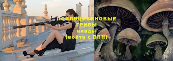 ГАЛЛЮЦИНОГЕННЫЕ ГРИБЫ Новодвинск