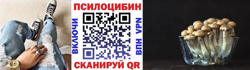 Купить закладки  Усолье-Сибирское  Галлюциногенные грибы Psilocybine cubensis 